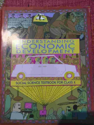 CBSE ECONOMIC for class 10th