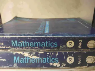 RD SHARMA MATHEMATICS CLASS XI (Set of 2 books)