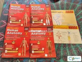 Anatomy bd chaurasia text books. 4 volumes