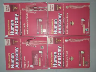 B.D Chaurasia Human Anatomy 7th Ed. Volume 1 to 4 - Second Hand - Bookaao