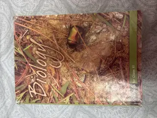 Biology ncert 12 - Second Hand - Bookaao