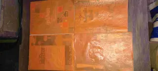 Class 10th Hindi-English books CBSE NCERT Shiteej