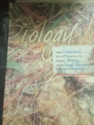 Class 11 biology - Second Hand - Bookaao