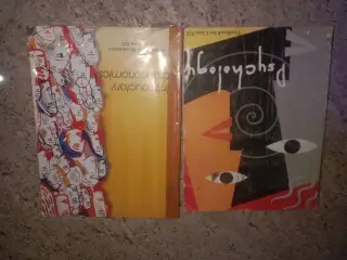 class 12 Psychology and Introductory Microeconomic - Second Hand - Bookaao