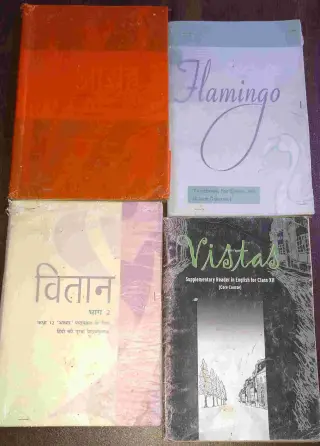 Class 12th Hindi-English books CBSE NCERT Flamingo