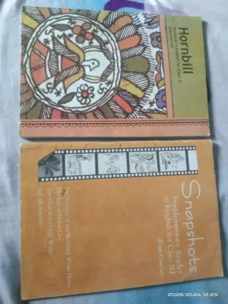 Class11th hornbill and snapshot English NCERT book