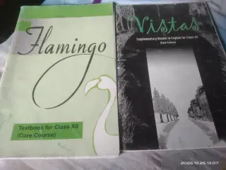 Class12th NCERT  English flaming and vistas books - Second Hand - Bookaao