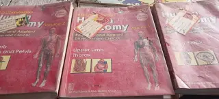 HUMAN ANATOMY BD CHAURSIA - Second Hand - Bookaao