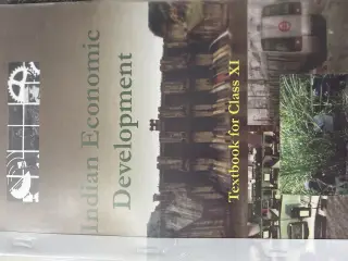 Indian Economic Development