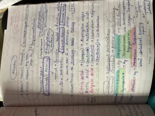 Notebook for Rankers