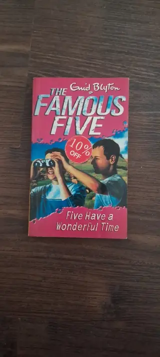 The Famous Five : Five Have a Wonderful Time