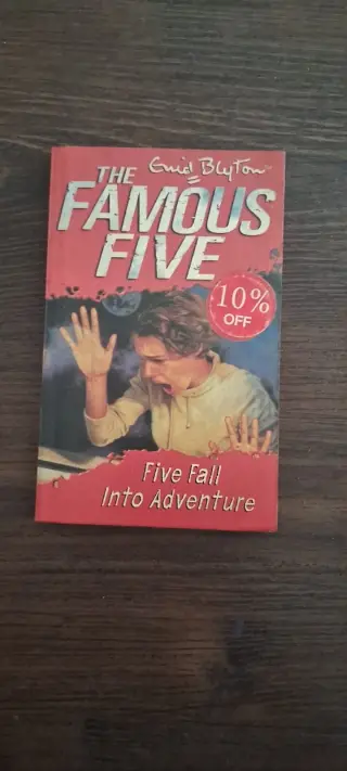 The Famous Five: Five Fall into Adventure