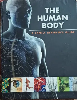 The Human Body  A Family Reference Guide