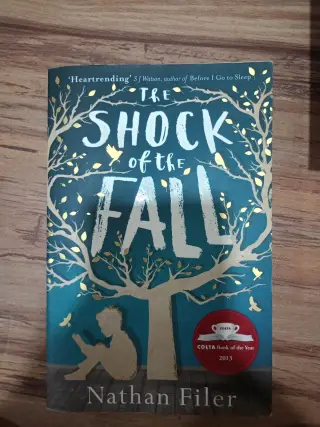 The shock of the fall - Second Hand - Bookaao
