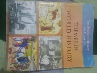 THEMES IN WORLD HISTORY