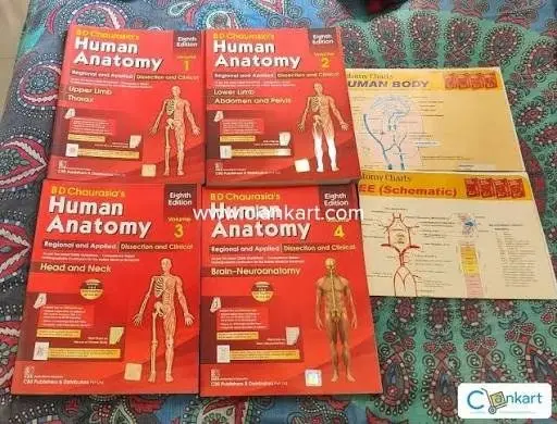 Buy Second Hand Anatomy bd chaurasia text books. 4 volumes in Bengaluru - Bookaao