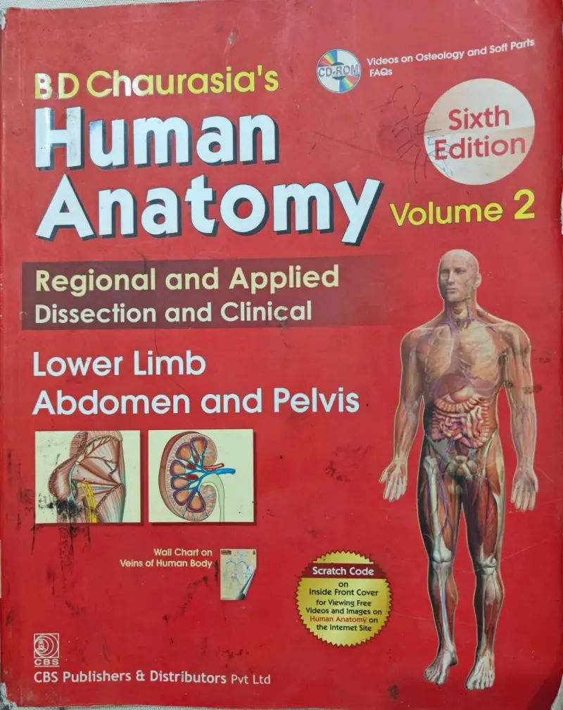 Buy Second Hand Human Anatomy – Volume 2 (Sixth Edition) in Lucknow - Bookaao