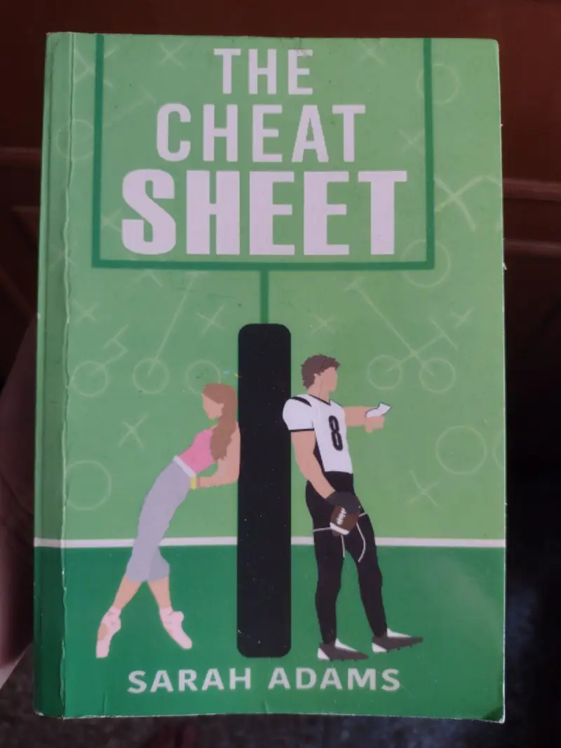 Buy Second Hand The Cheat Sheet in Dehradun - Bookaao